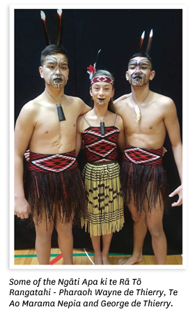 He pouwhenua, he puapua